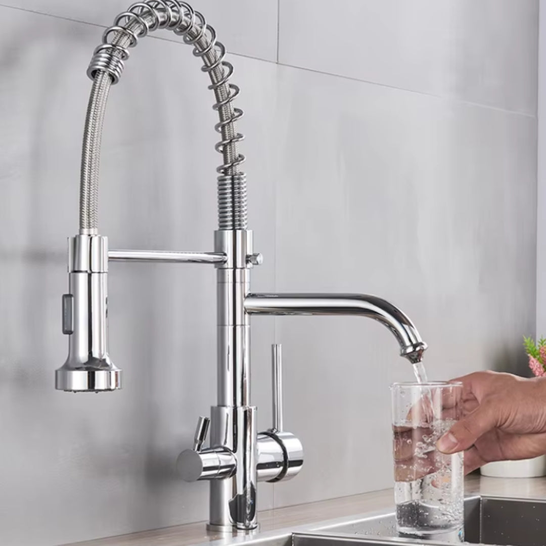 Torneira Para Cozinha Gourmet Monocomando Com Filtro Neptunus