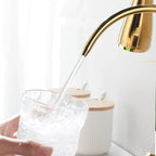 Torneira Gourmet Monocomando com Filtro e Jato Extensível Dourada