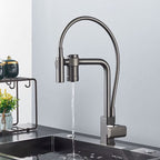 Torneira Para Cozinha Com Filtro Gourmet Modelo 2 em 1 Com Misturador