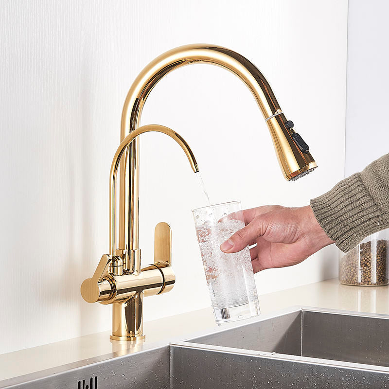 Torneira Para Cozinha Com Filtro Gourmet Monocomando Dourado