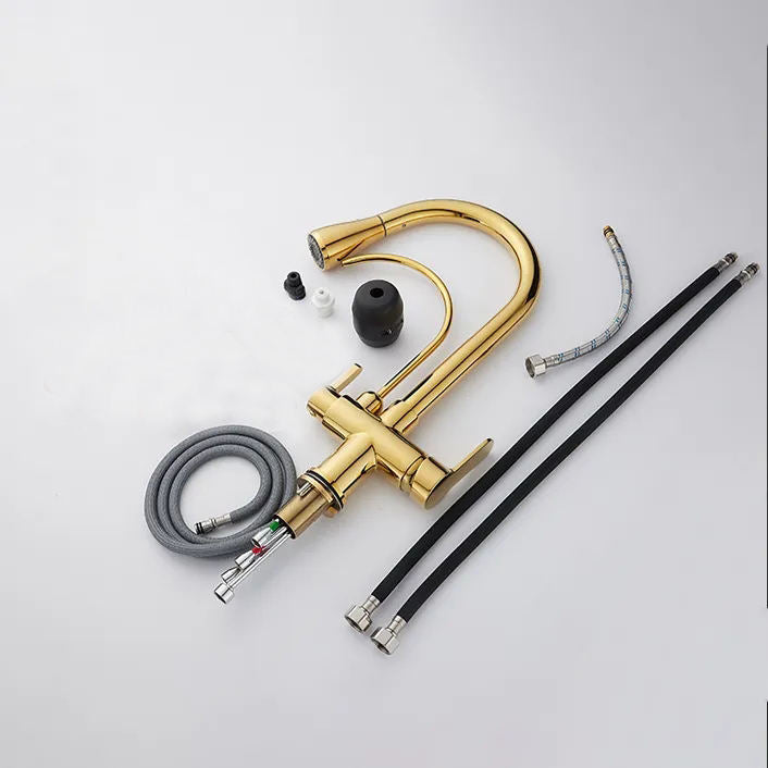 Torneira Para Cozinha Com Filtro Gourmet Monocomando Dourado