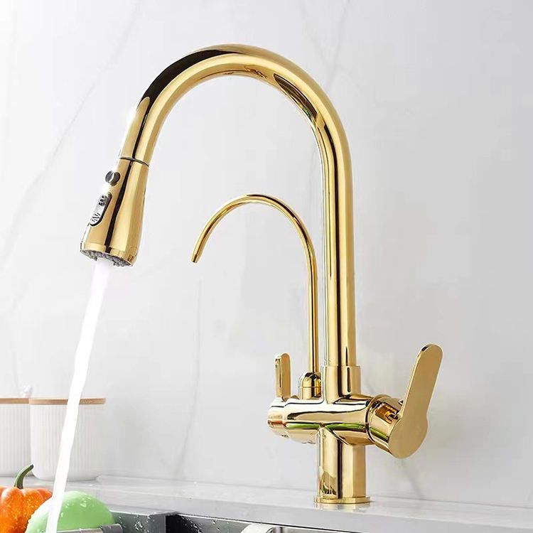 Torneira Para Cozinha Com Filtro Gourmet Monocomando Dourado