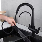 Torneira Com Filtro Para Cozinha Preta Gourmet Monocomando
