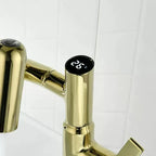 Torneira Monocomando Para Banheiro Com Rotação 360 e Display Digital Modelo Axis Elite
