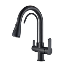Torneira Com Filtro Para Cozinha Preta Gourmet Monocomando