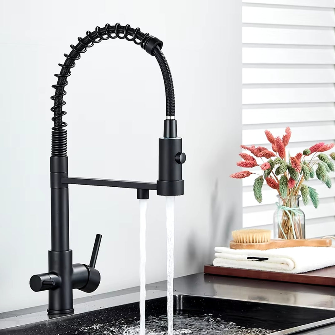 Torneira de Cozinha Gourmet Monocomando Com Filtro